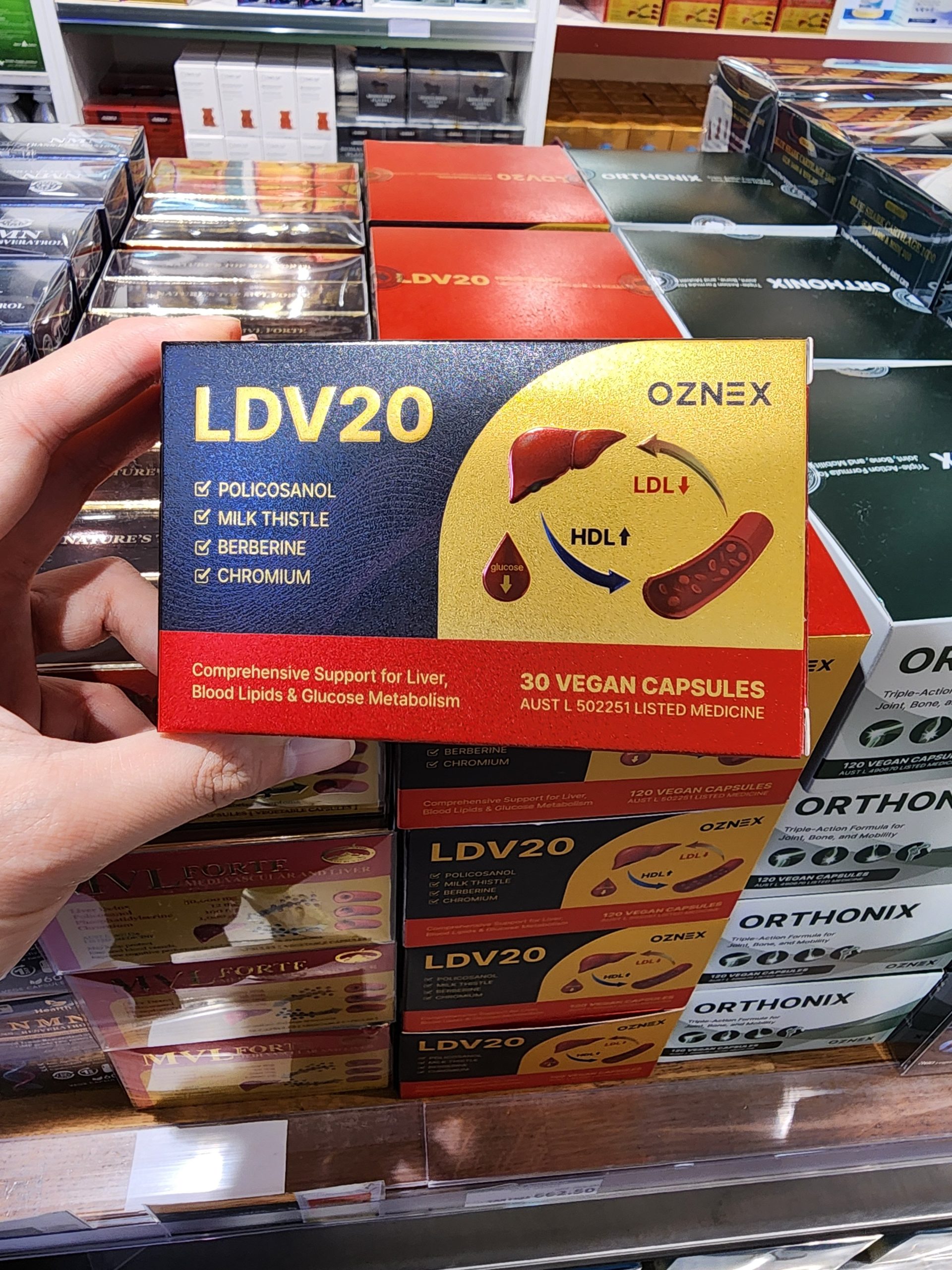 LDV20 부모님 선물